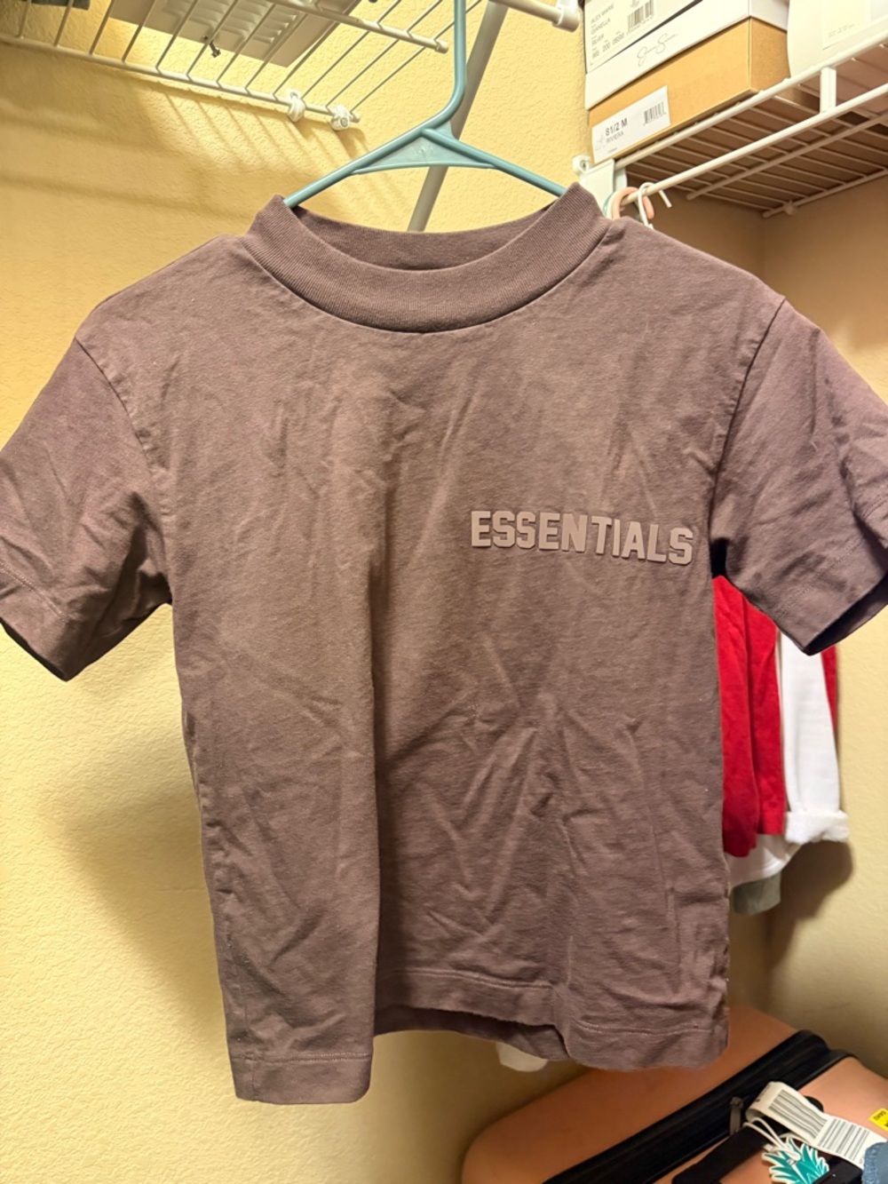 ESSENTIALS T-Shirt in Plum/Brown